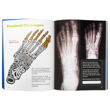 Load image into Gallery viewer, Dr. Bonyfide Presents Bones - Set of 4