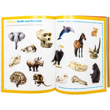Load image into Gallery viewer, Dr. Bonyfide Presents Bones - Book 4
