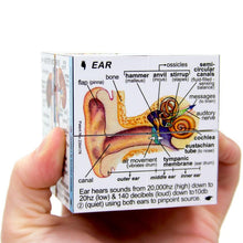 Load image into Gallery viewer, Human Body Cube Book
